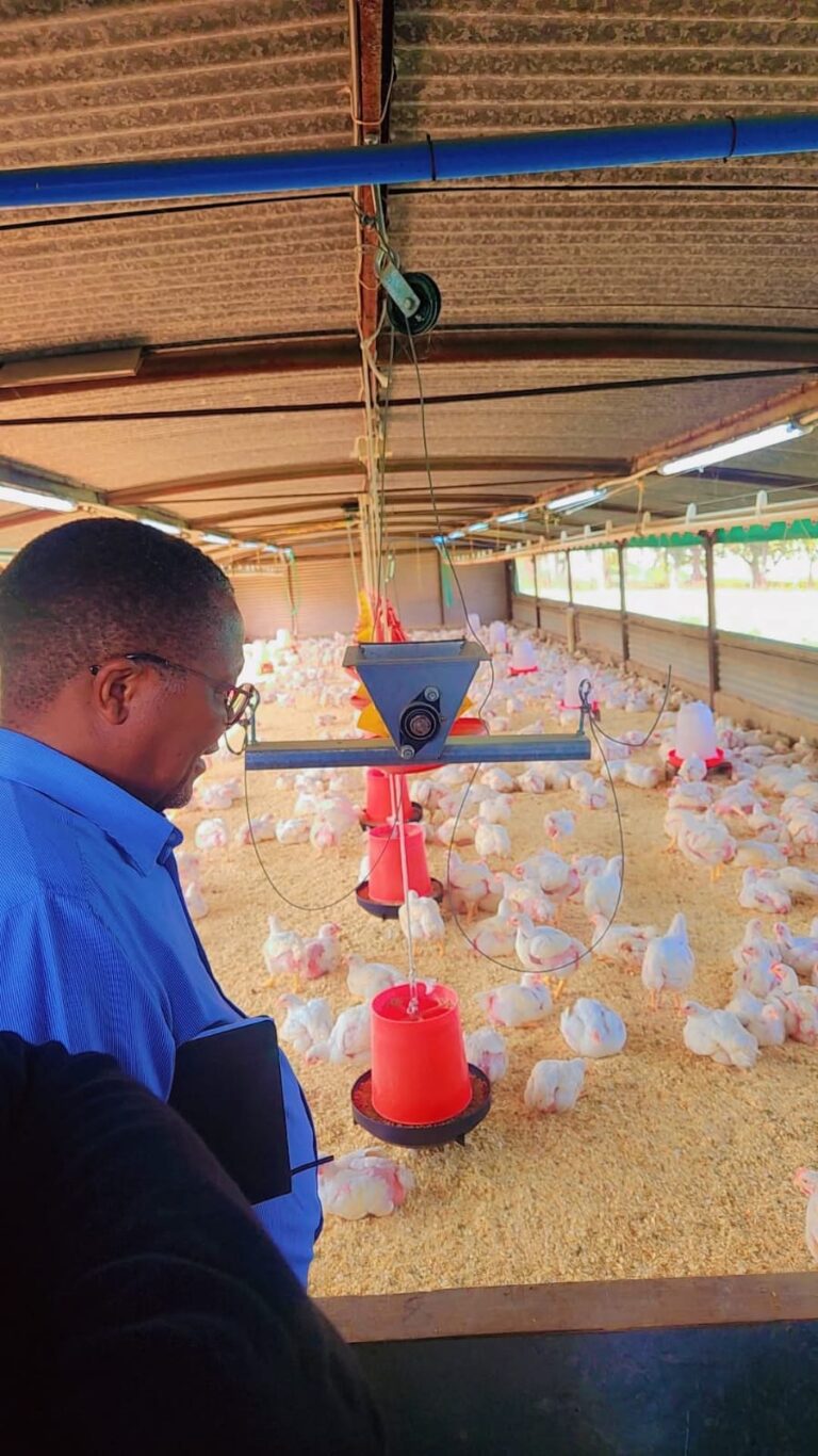 ceird-broiler-inspection